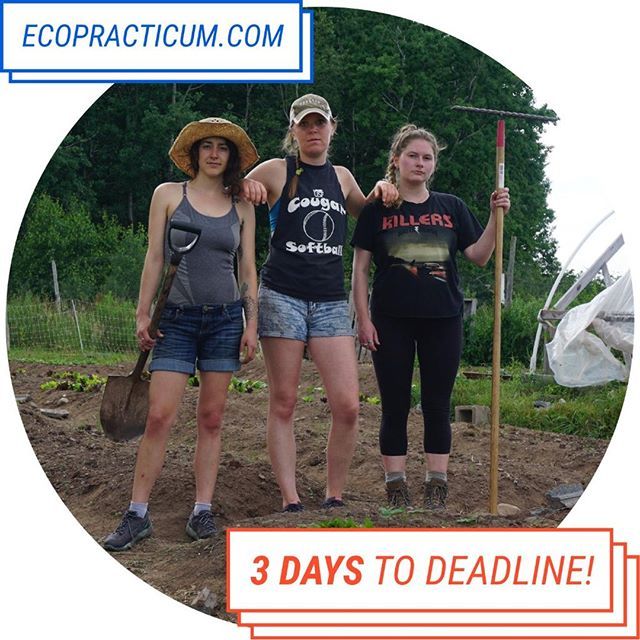 EcoPracticum's tweet photo. 3 days to the application deadline for Eco Practicum Catskills: Redefining Wealth! Details here: https://t.co/y3NtvWjfeW (and link in our bio). This is an immersive educational experience for people interested in delving deep into #ecology, #economy, and #socialjustice. Program… https://t.co/Z7F5bxRmYu