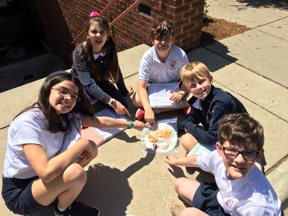 STSScienceLab's tweet photo. Mixed feelings about our mold experiment in 4th grade.... Although we know fungi 🍄 play an essential role in ecosystems, they can get pretty smelly👃🙅🏻‍♀️! @StTimsRaleigh https://t.co/pZ8x8Eny9d