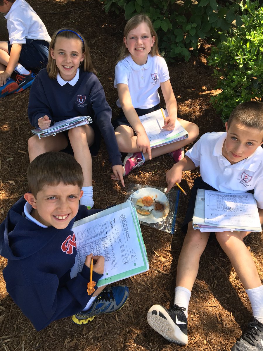 STSScienceLab's tweet photo. Mixed feelings about our mold experiment in 4th grade.... Although we know fungi 🍄 play an essential role in ecosystems, they can get pretty smelly👃🙅🏻‍♀️! @StTimsRaleigh https://t.co/pZ8x8Eny9d