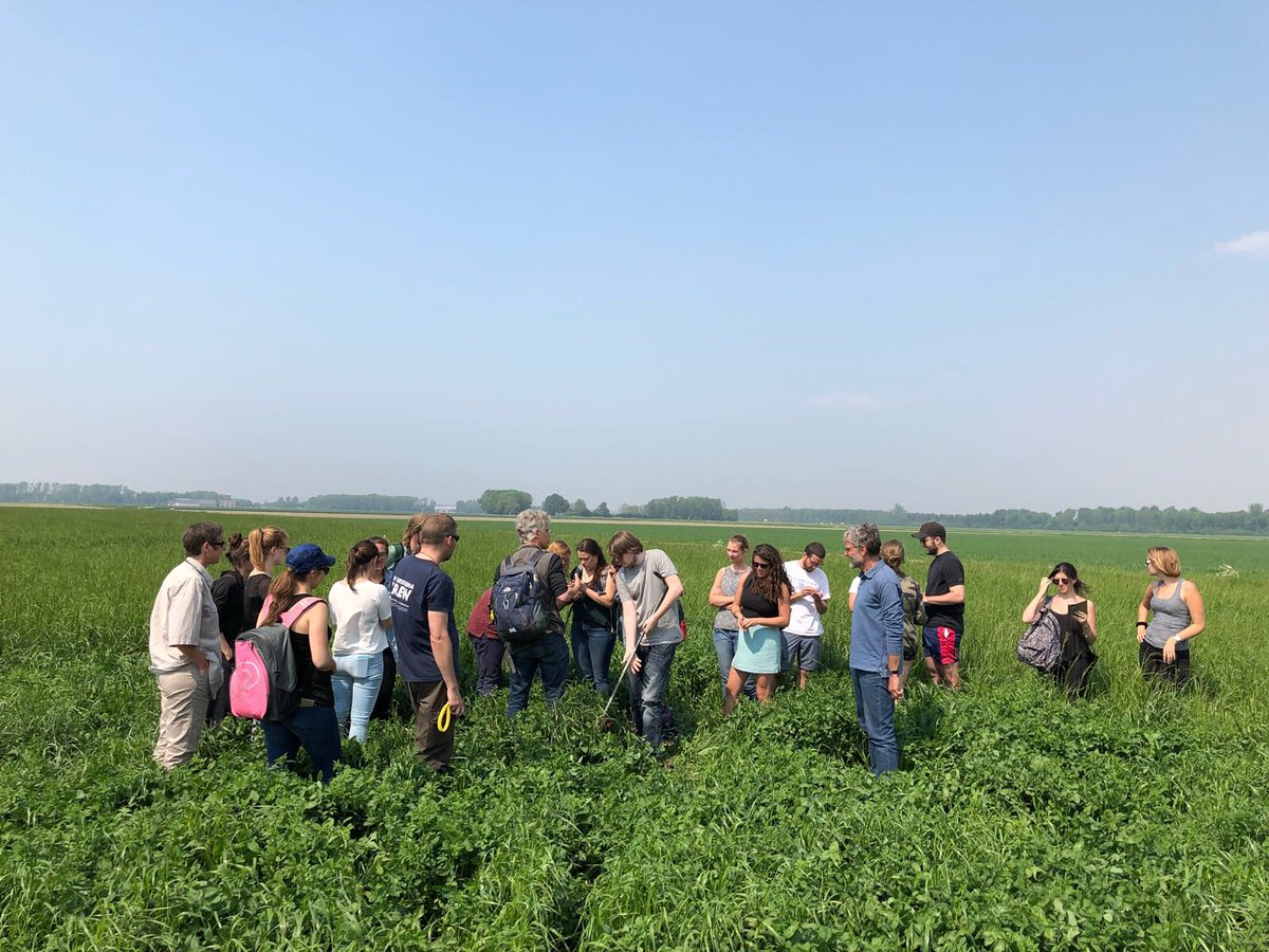 BoerenNatuur Flevoland tweet media