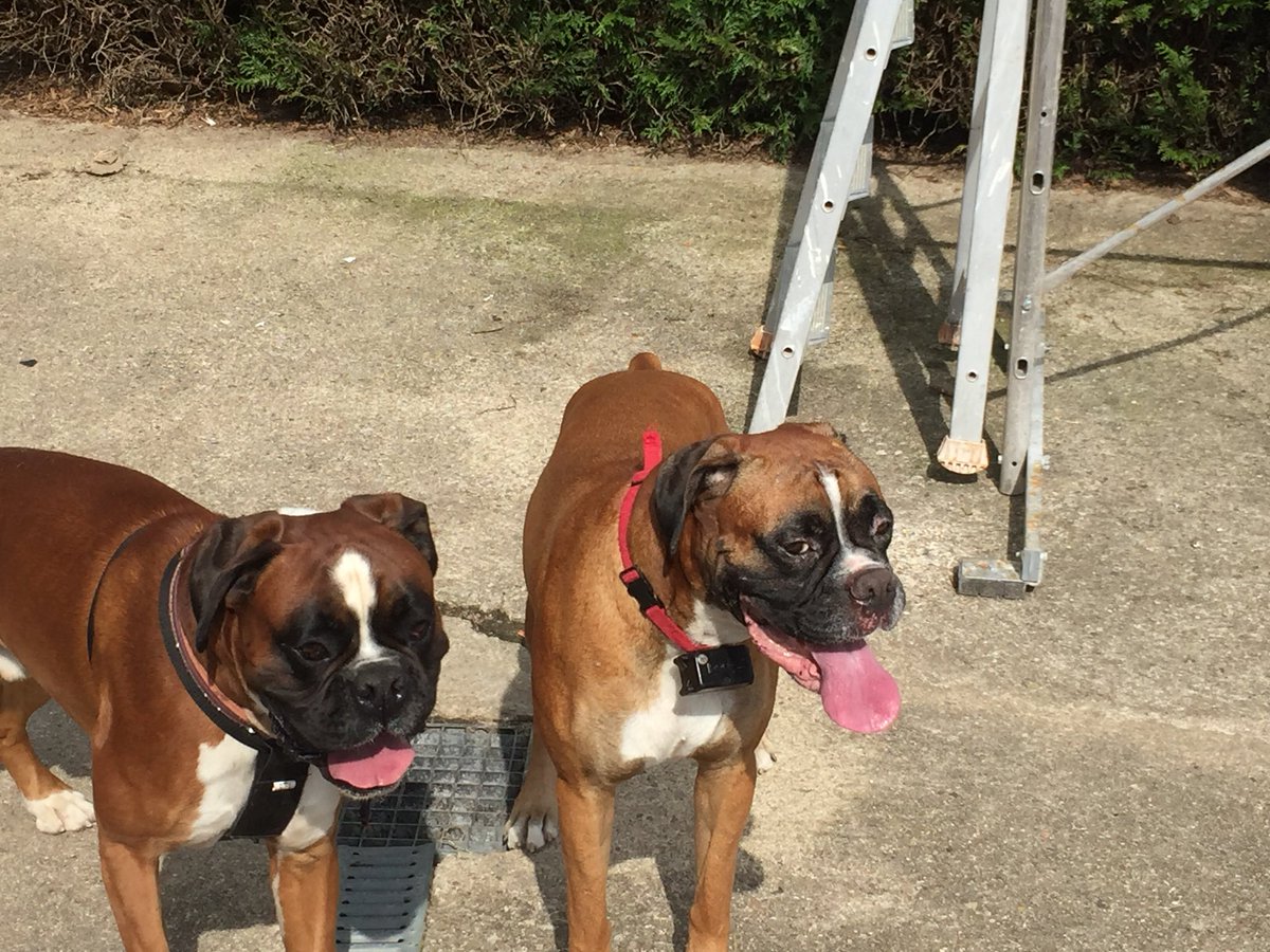 Madininarawak's tweet photo. Quand on a #soif à #Planchez en #Morvan on s’arrête boire un coup chez #LaPetiteMillette #boxer https://t.co/UZGi7BSApm