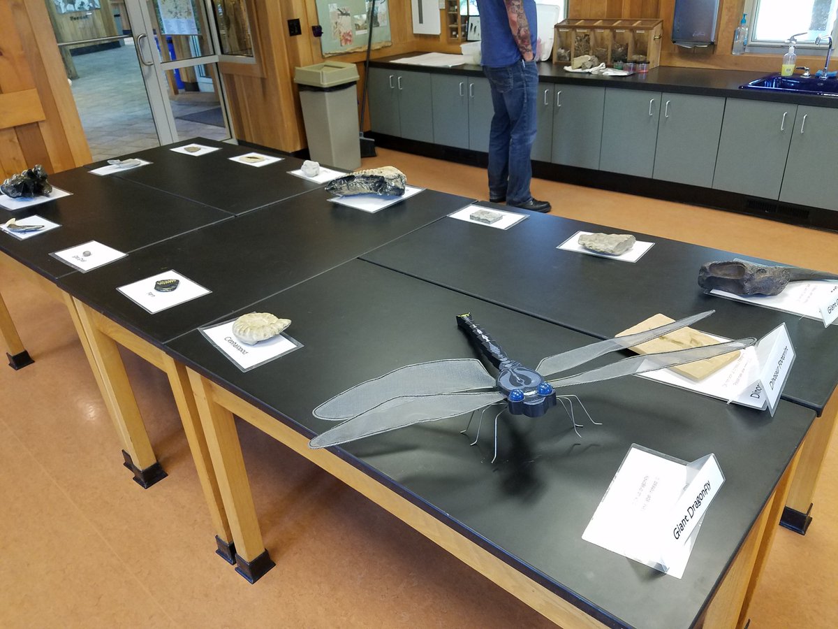 huntmrbriggs's tweet photo. Fossil detectives#brunswickpride https://t.co/1ysejxP9sR