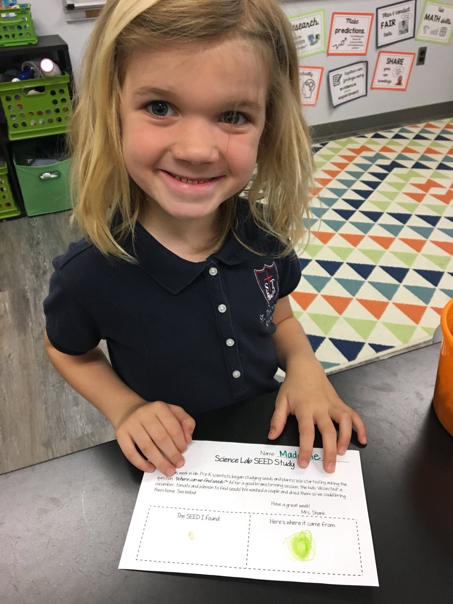 STSScienceLab's tweet photo. Where do seeds come from? Some popular answers included “Lowe’s,” “The Seed Store,” and “from Mrs. Morgan.” Today we discovered that seeds actually come from plants, and we tried to dig out as many as we could from cucumbers, tomatoes and lemons! @AdcockMadcock @gardengirl266 https://t.co/TVkegoGipr