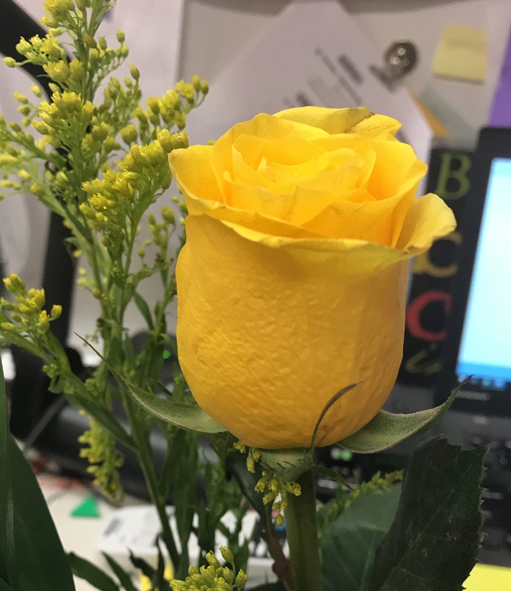 MsAdams4406's tweet photo. #teacherappreciation #yellowroseofTexas #MsAdams

Love! Love! Love! my students ❤️❤️ https://t.co/JP7QH62Muc