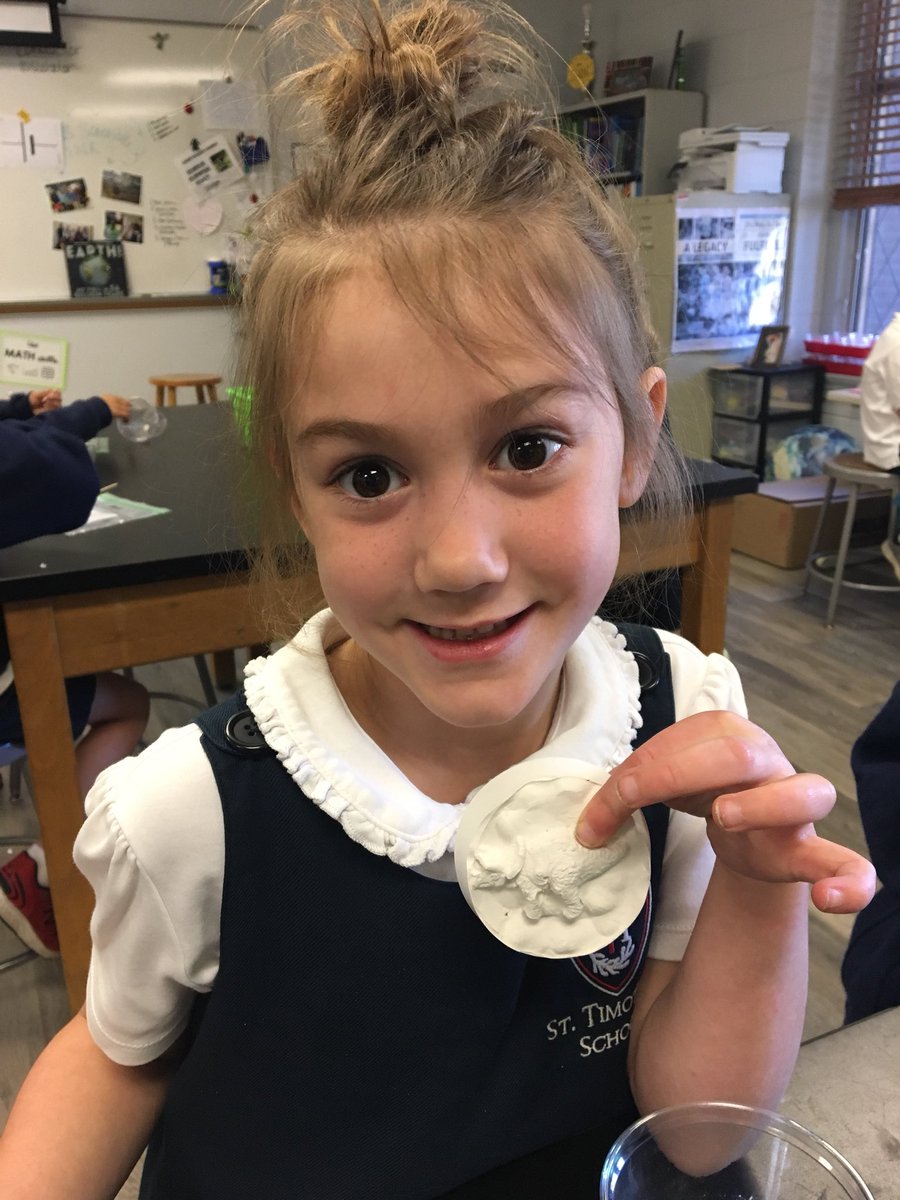 STSScienceLab's tweet photo. Kindergarten scientists had a blast learning about dinosaurs 🦕 in Science Lab! We wrapped up the unit by making our own dino fossils. They turned out great! @STSScienceLab https://t.co/QBxaTEzc8z