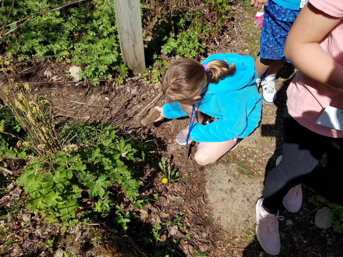 huntmrbriggs's tweet photo. Fossil hunting #BrunswickPRIDE https://t.co/SyDt08rOiE