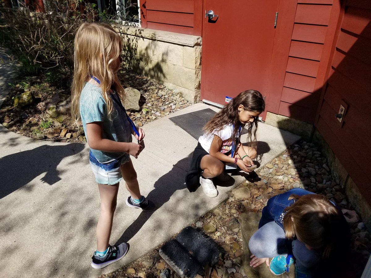 huntmrbriggs's tweet photo. Fossil hunting #BrunswickPRIDE https://t.co/SyDt08rOiE