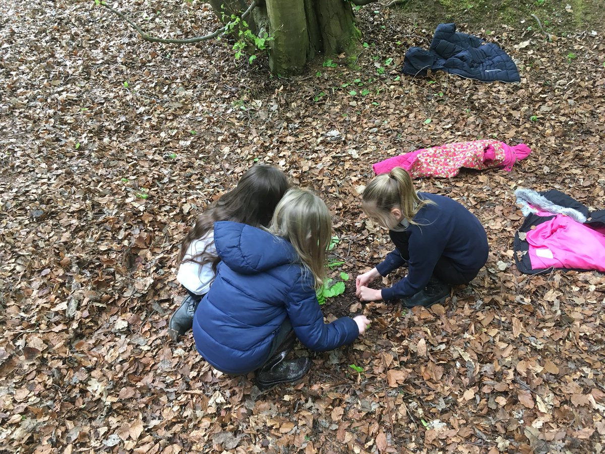 A lovely afternoon of outdoor learning at Gore Glen this afternoon with P3M. We made birds nests and pictures of birds using materials from the forest 🌳🐦 <a href="/outdoormgfl/">outdoormgfl</a>