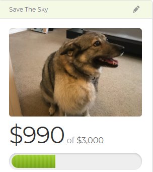 We've raised almost $1000 dollars for Skydog in just a day! Thank you everyone who's been sharing or donating. Please keep spreading the word. At this rate, I can stop bugging you guys about this by the end of the week ;) 

Skydog's GoFundMe Page: goo.gl/nKyzEz