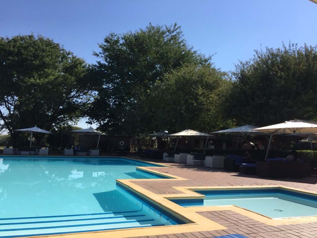 Simon Hodson 🇪🇺🏳️🌈 tweet media