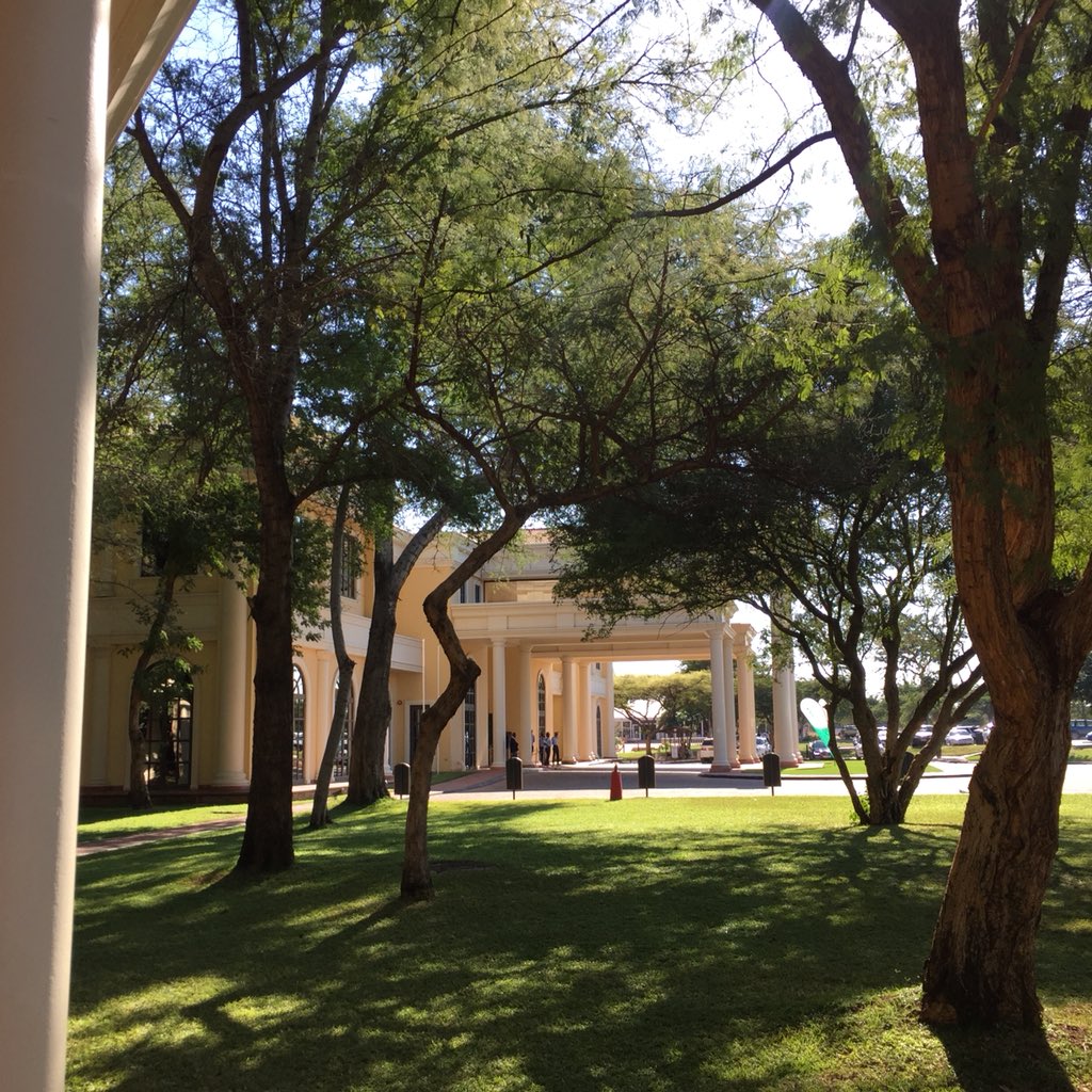 Simon Hodson 🇪🇺🏳️🌈 tweet media