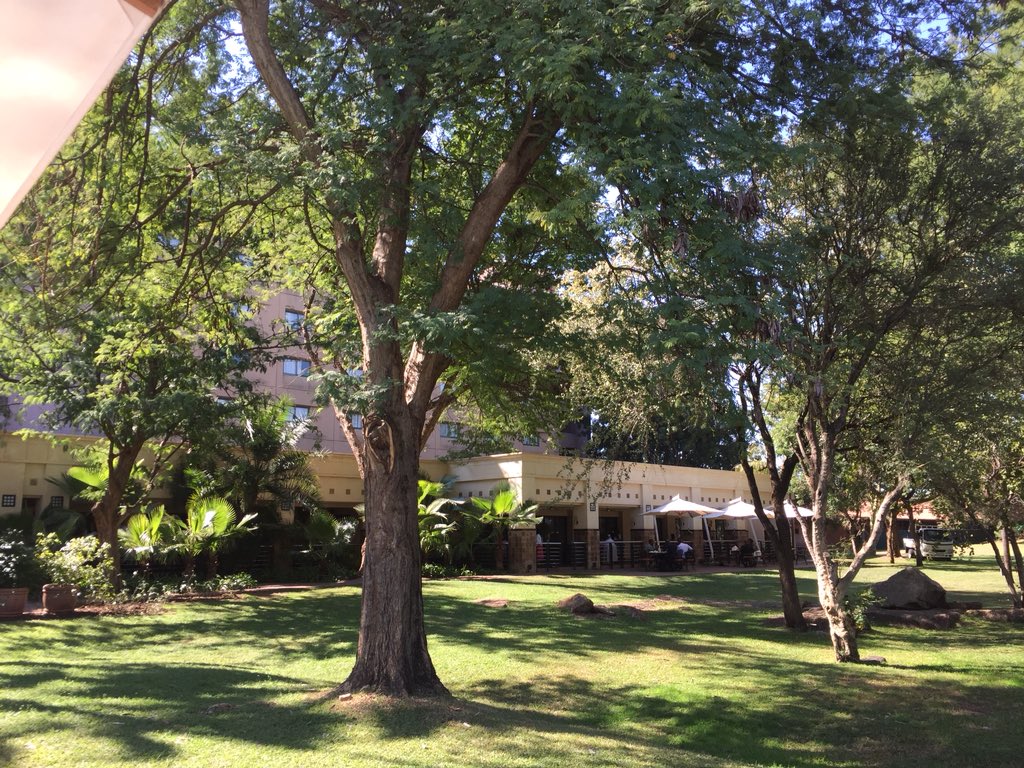 Simon Hodson 🇪🇺🏳️🌈 tweet media