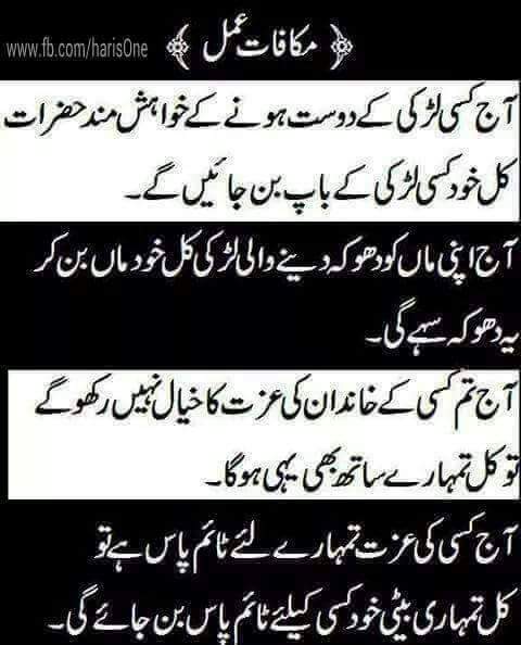 le00579151's tweet image. #bitterwords