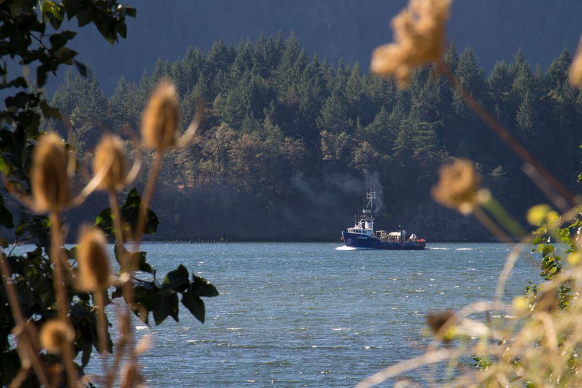 Time for progress! Thoughtful opinion piece by <a href="/CowlitzCEDC/">CowlitzEDC</a> on creating jobs and opportunity while carefully protecting Planet Earth.

tdn.com/opinion/editor…