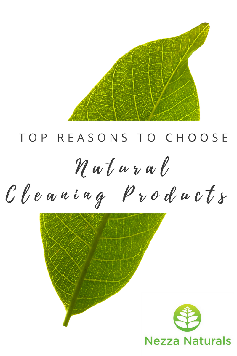 NezzaNaturals's tweet photo. Check out our latest blog post on the benefits of using natural cleaning products! Using essential oils to clean your home can make cleaning a little more enjoyable...

https://t.co/HcjiPJnd4H https://t.co/p0fYZWJM0t