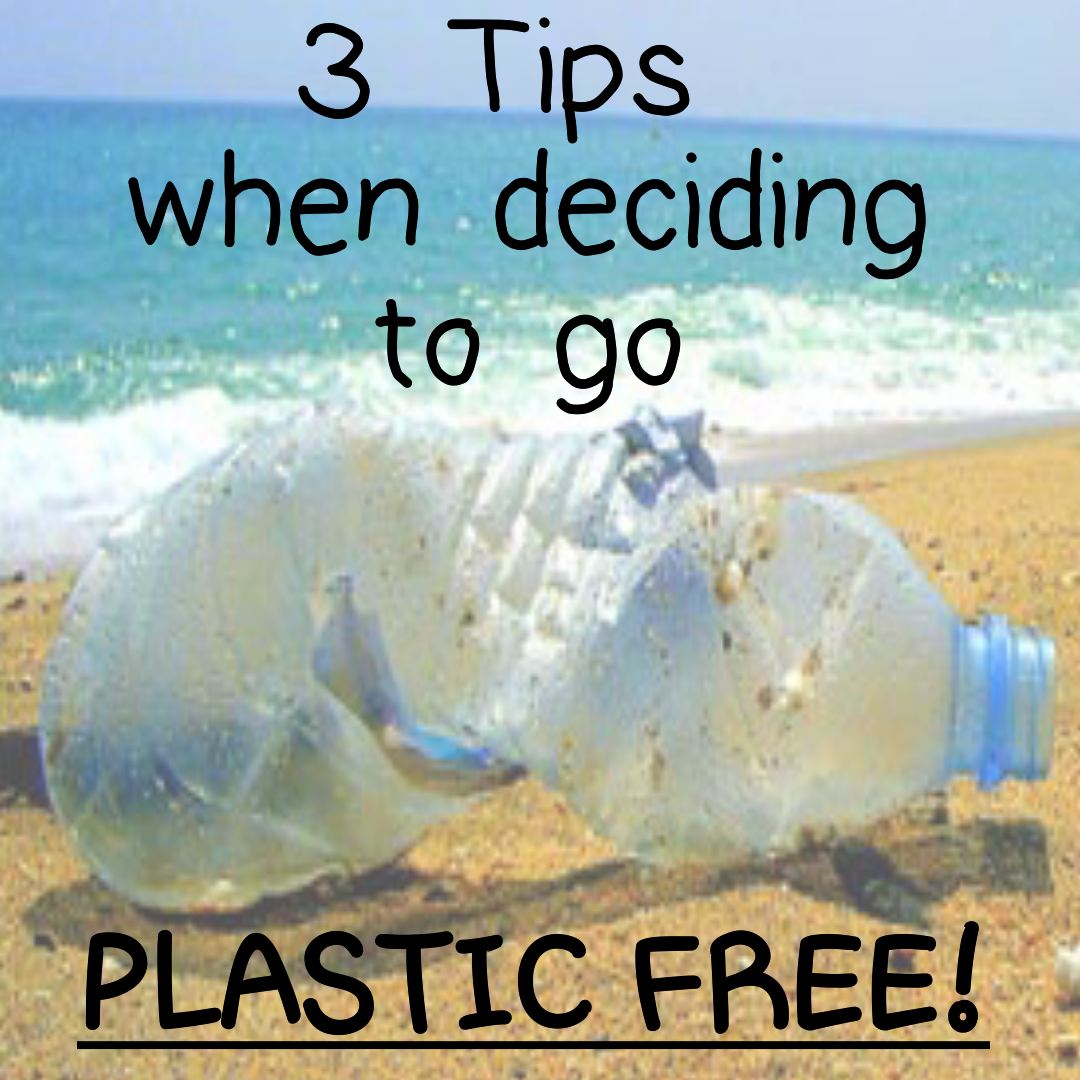 helens_journey's tweet photo. #WednesdayWisdom "3 TOP TIPS when deciding to go PLASTIC-FREE"
> https://t.co/8JWA2JUgMS < #plasticfree #plasticpollution #pleaseRT
#bloggerstribe #bloggerssparkle #BloggingGals #blogqueen #FierceBloggers #GRLPOWR #BEECHAT #teacupclub  #PinkNotionRT #BloggersBlast #rtingbloggers https://t.co/8SvmiBYRks