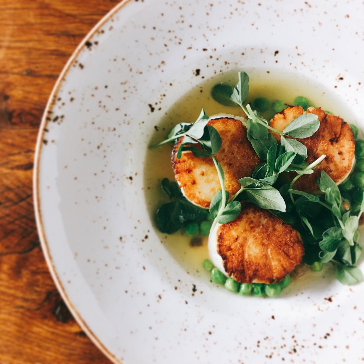 AmaliNYC's tweet photo. dayboat scallops // english pea &amp; pancetta consommé 😋 #amalinyc https://t.co/JhAi7nlAU2