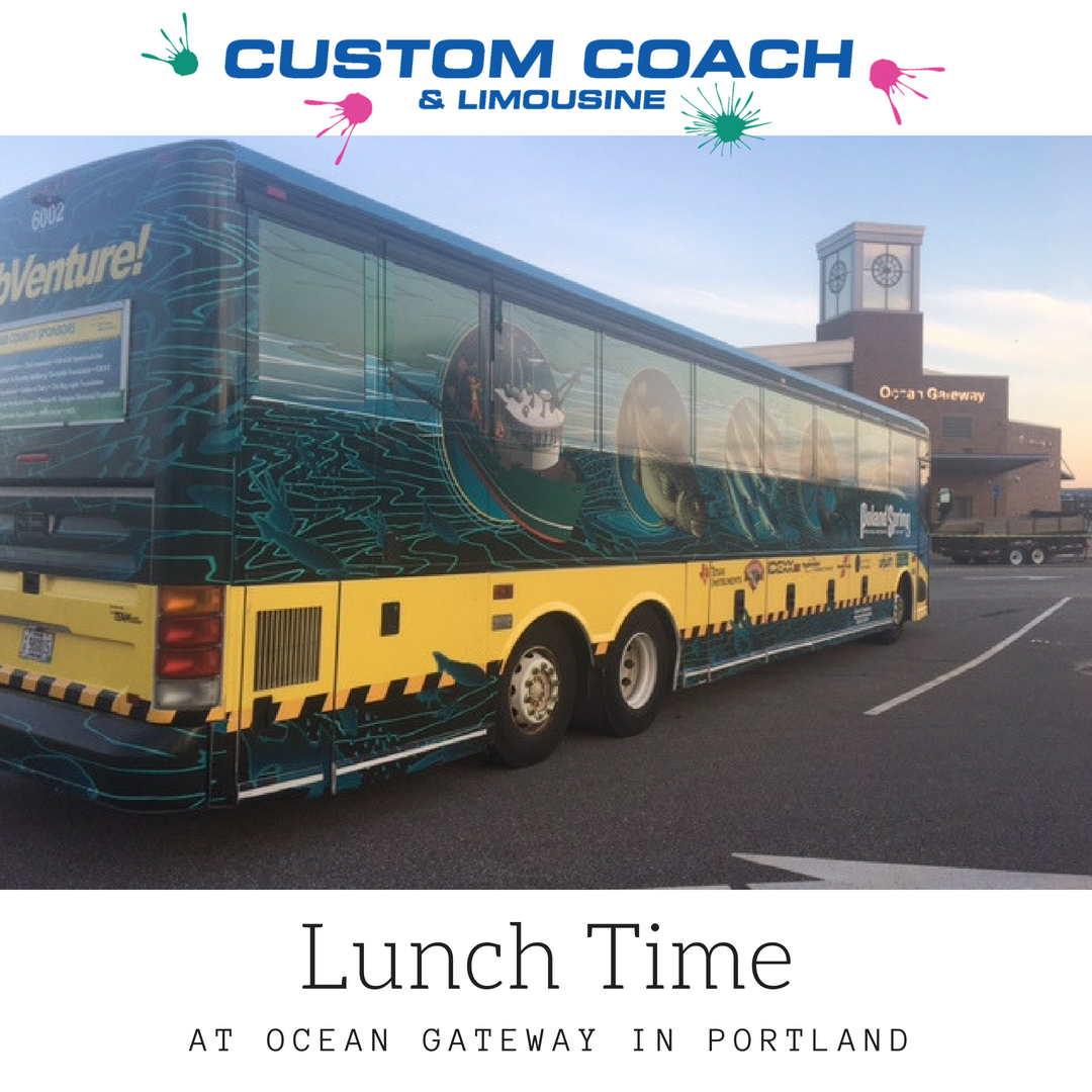 Custom_Coach's tweet photo. Where did you stop having lunch today?

#portland #portlandme #maine #oceangateway #sunshine #spring #springinmaine #motorcoach #customcoach #gmri #lunchtime #travelmaine #visitmaine #visitportlandme https://t.co/omkCJVX7p9