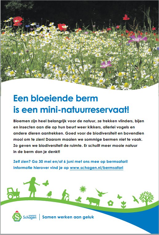 Ga jij mee op avontuur in je eigen gemeente? Meld je dan aan voor onze bermsafari, en leer alles over de biodiversiteit in onze ‘rommelige’ bermen. Meer informatie op schagen.nl/bermsafari