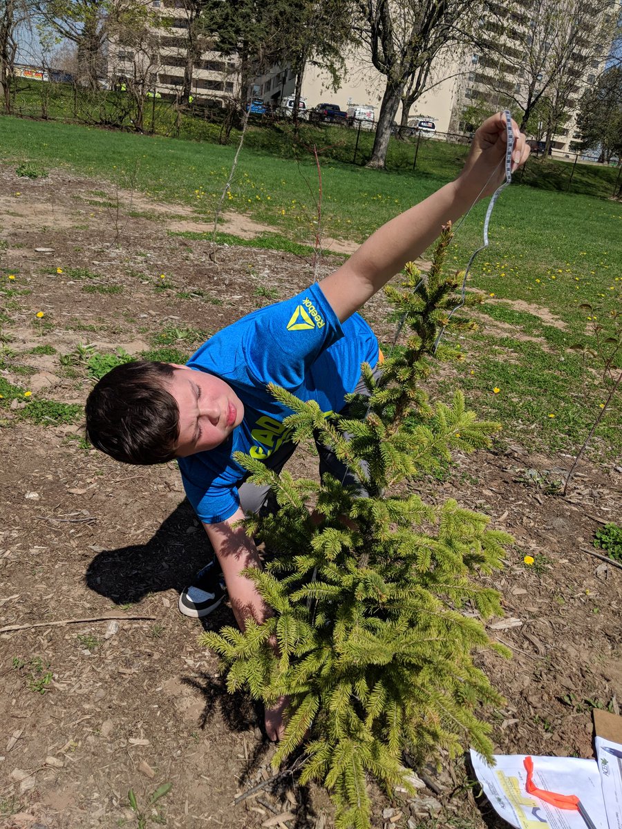 msjaceyjones's tweet photo. Learning how to use a vernier caliper and measuring tape to collect data on the trees we planted in 2016 with @MsHanmer and @AcerEducation #Planting4Change https://t.co/OpDrcaq3LY