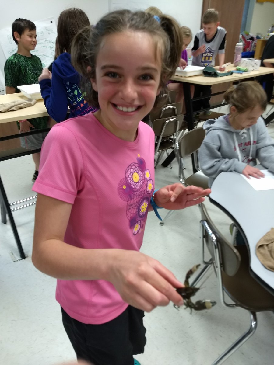 stpapp34's tweet photo. We are loving our stream entomology day. Thank you @TroutUnlimited and the Wisconsin DNR for the opportunity! #rfpride #rfsdlearns https://t.co/9WnmJQqSYi