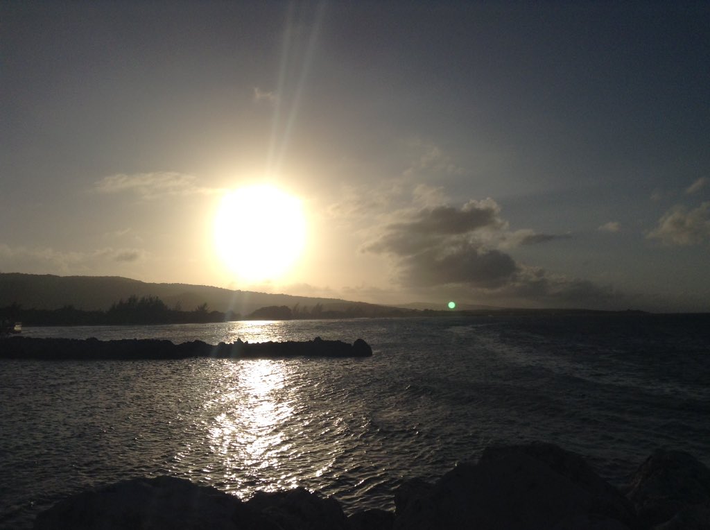 peightonblue's tweet photo. @hitRECordJoe #Jamaica https://t.co/uQ4FYK4f3U