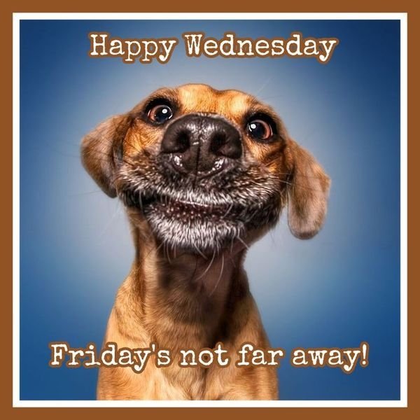 It's the middle of the week ya'll, Friday is right around the corner! Yeah!

#Wednesday#AlmostThere#Yeah#Triana