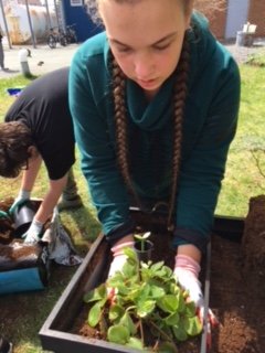 Herring Cove Jr High tweet media