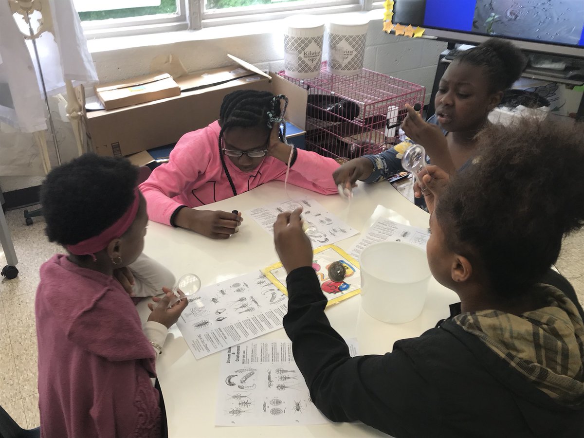 scienceguRhew's tweet photo. What’s in the river?!? Thank you @JM_Archambault for introducing the world of macroinvertebrates to our students.  Students had a blast learning about what can be found swimming around them and their importance in a river ecosystem. @TeamCLMS @WSFCS_Science @naturalsciences https://t.co/rDrUGmuabY