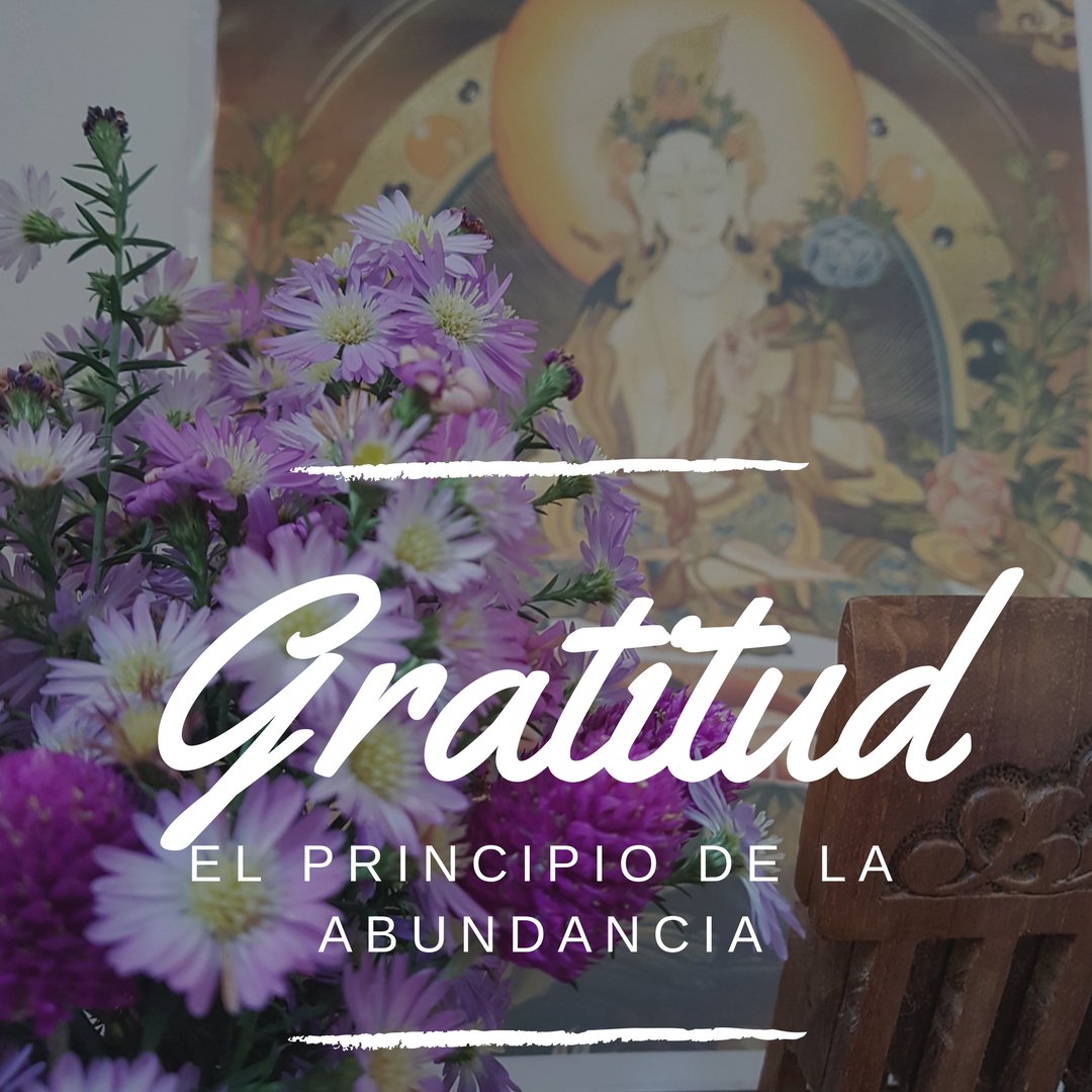 Ahorayoga's tweet photo. #BuenMiercoles en estos tiempo de volatilidad financiera ... #Abundancia #gracias #gratitud #FMI #financiamiento https://t.co/mect5QQlT5