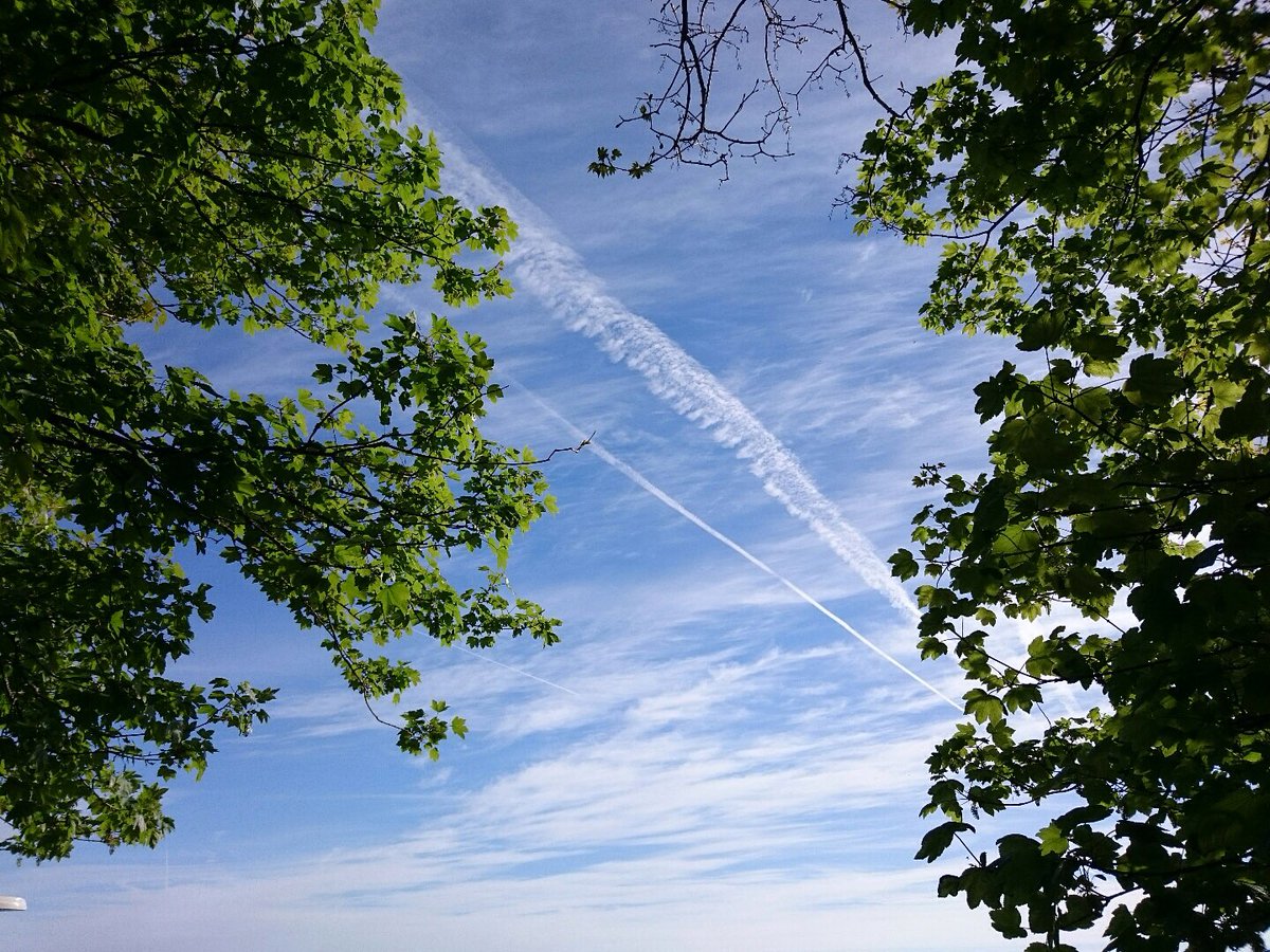 #devon was looking gorgeous on this mornings run, that's why we set up Jolly Running to show people the fantastic trails in Devon.