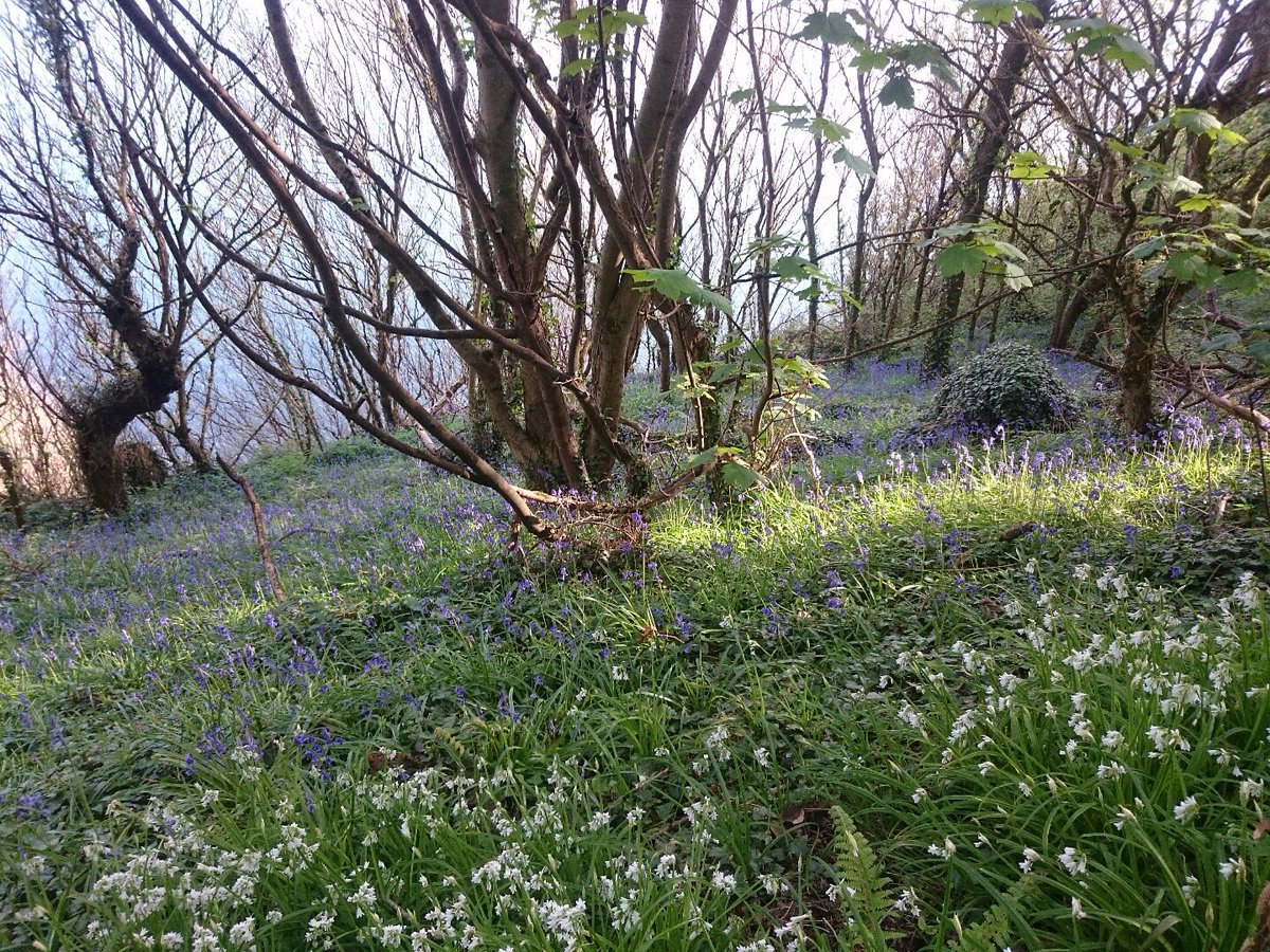 Jolly Running tweet media