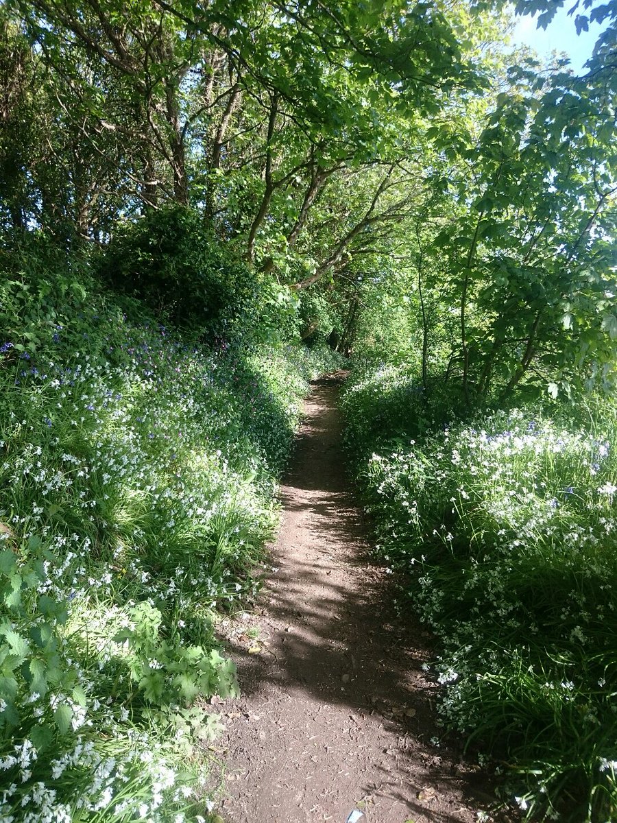 Jolly Running tweet media