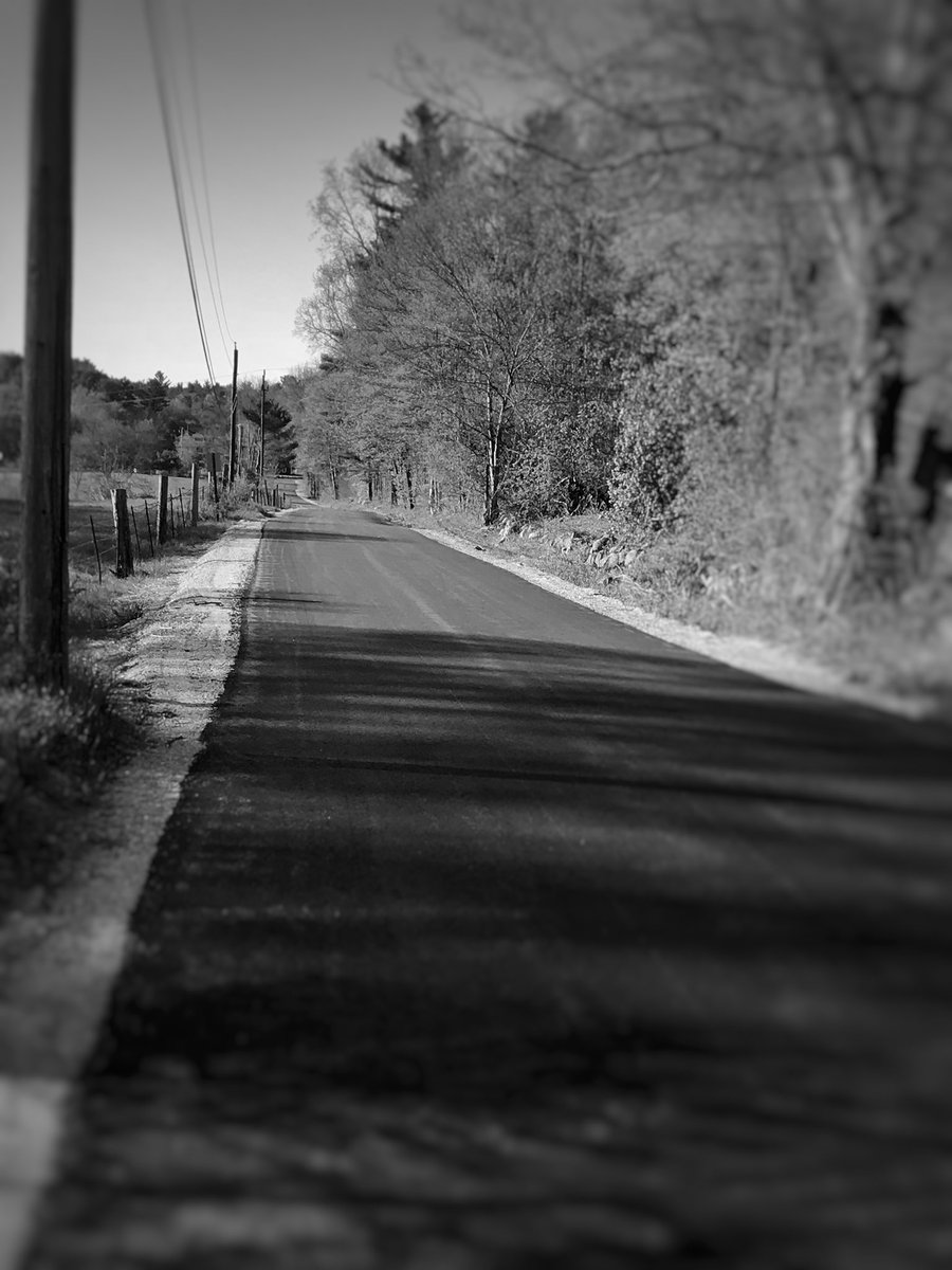 JessicaDReady's tweet image. Some pictures I took today when I went on a walk