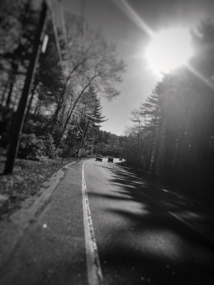 JessicaDReady's tweet image. Some pictures I took today when I went on a walk