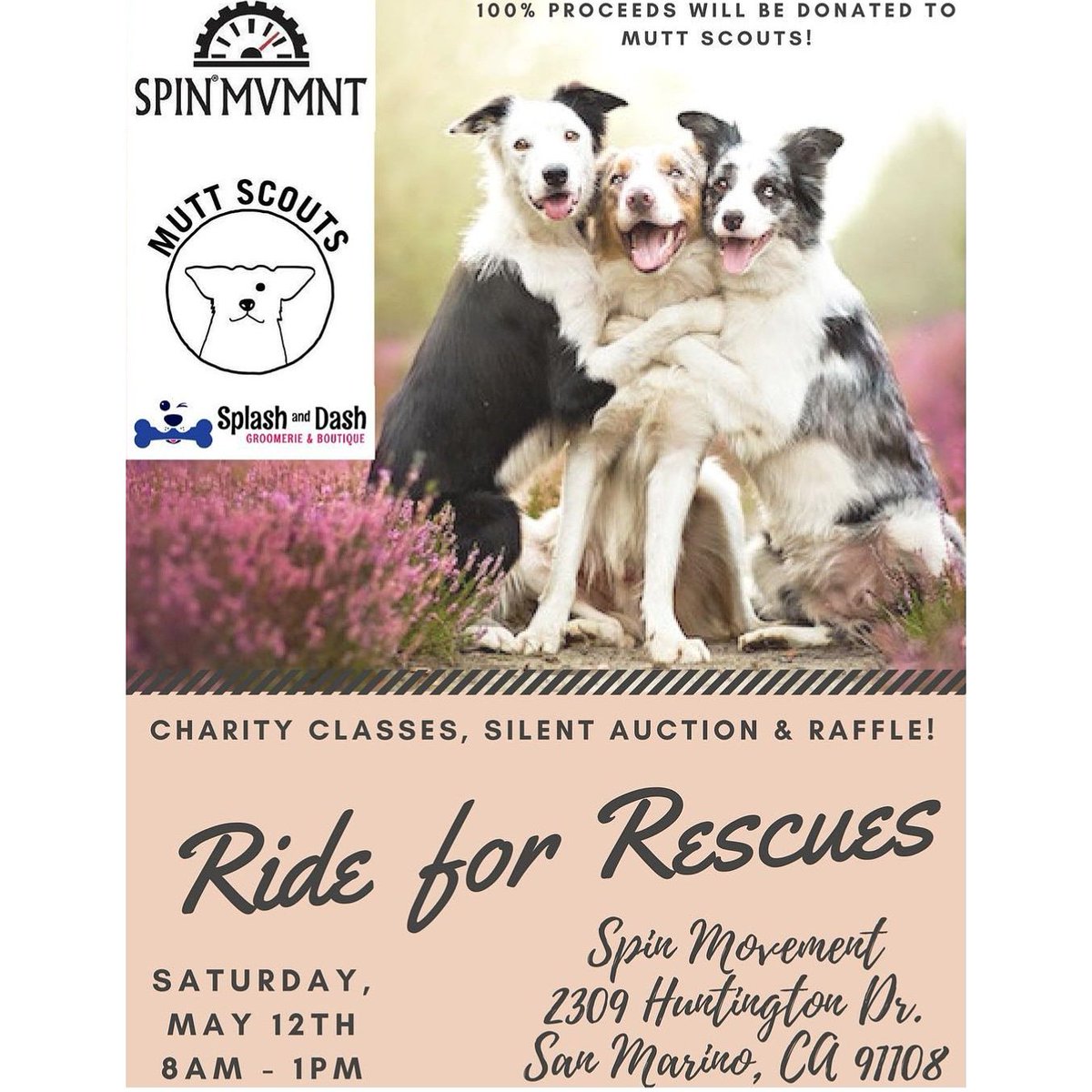 Anna_LisaCycles's tweet photo. This Saturday, May 12th!! Five donation-based classes in support of pups in need @SPINmvmnt!
----
8am Spin
9am Spin/Sculpt
10am Spin
11am Spin/Sculpt
12pm Yoga
----
Raffle &amp; silent auction, too!!
----
Book your spot now! ❤️🐶❤️ https://t.co/EcNKjL7hBw