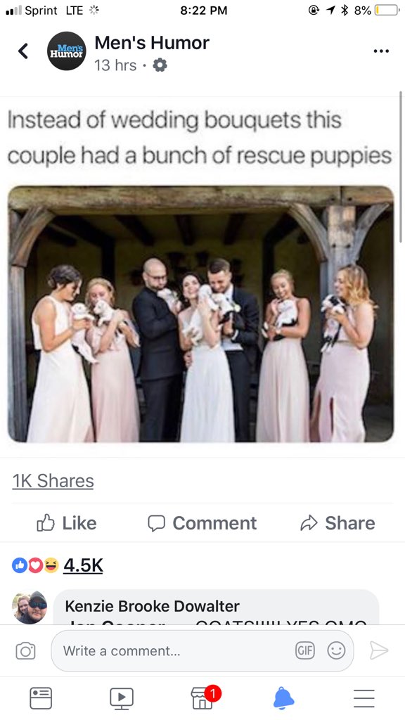 Kenzie Dowalter tweet media
