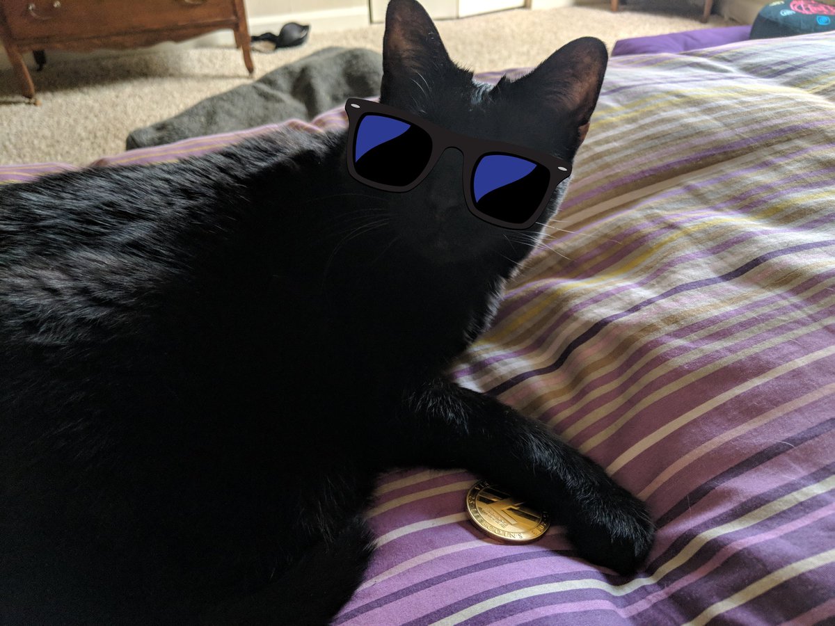 RealCryptoSteve's tweet photo. Cryptokitty say HODL your LTC! #hodl #ltc #meme https://t.co/5OwEDYQVJc