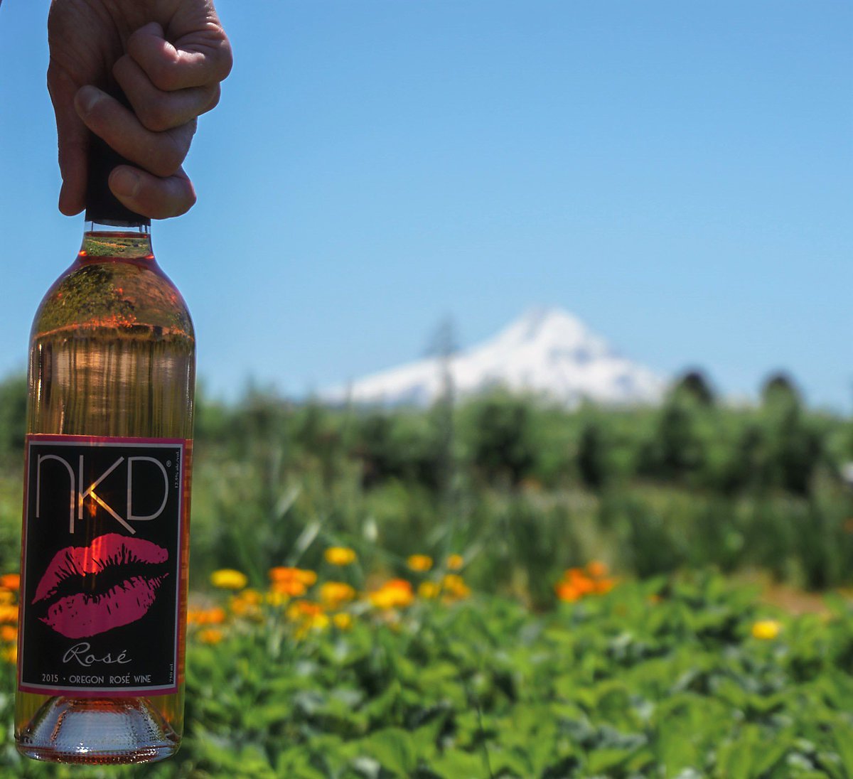 nkdwine's tweet photo. Don't forget to stop and smell the Rosés 🌹

#rose #mthood #springflowers #Oregonwine #SunShine https://t.co/o9JxcupqON