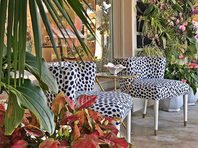 Love what <a href="/baydesignstore/">Baydesignstore</a> has done with our Mimi chairs. Tropical, exotic and ready for summer!
.
.
<a href="/DesignOnHPMkt/">DesignOn is now ANDMORE at High Point Market</a> #baydesignstore #naplesstyle #floridastyle #floridadesign #graphicanimalprint #blueandwhite