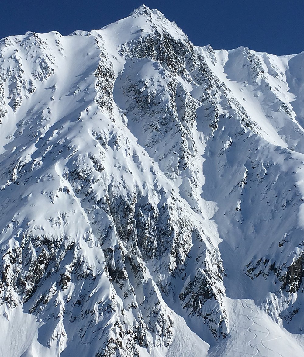 That line though. See Mel's Day of the Dimond post on our blog. #Alaska #Backcountryskiing