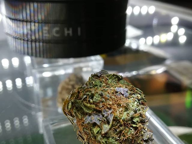 TheGardenRoma's tweet photo. CRYSTAL🍁🍁🍁🕉️🔞🔞 #alwaysfollowback #f4f #follow #follow4follow #follow4like #followall #followback #followbackalways #follower #followers #followforfollow #followher #followme #follownow #follows #followus #followher #followyou #ifollow #like4follo… https://t.co/e3d87tNQX6 https://t.co/vzfyRoOvc4