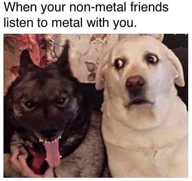 Lmaooooo https://t.co/VDezNiIwQc