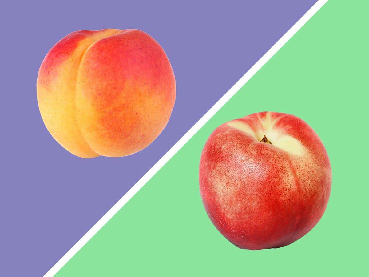 brandtfarms's tweet photo. The fuzz on peach skins is controlled by a single gene. This means that #nectarines are a virtually identical species, not a hybrid of #peaches and #plums as is sometimes thought! #WeKnowFruit #BrandtFarms https://t.co/RSUvvKNDcq https://t.co/4l0UenE7xp