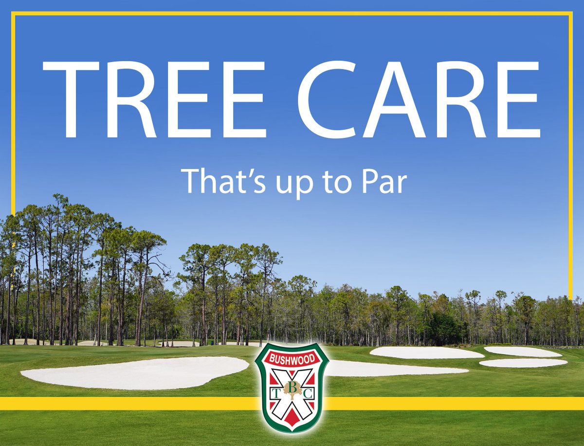 BushwoodTreeCo's tweet photo. Call us for quality tree care! 239.332.0015 #BushwoodTreeCo #trees #swflcoursecare https://t.co/xPpwgldPgC