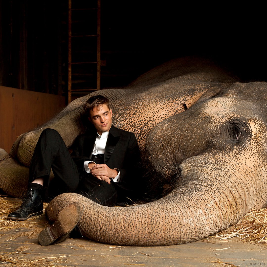 Let’s talk about the elephant in the room. It’s #RobertPattinson’s birthday and you forgot to get him something. That’s okay; you can just shower him with loving tweets. #WaterForElephants bit.ly/WatchWFE