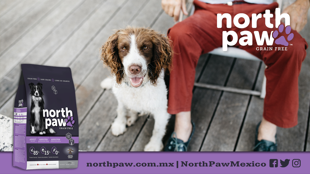 NorthPawMexico's tweet photo. Tu compañero de vida sin duda merece lo mejor. #NorthPaw #LibreDeGranos https://t.co/ltnq2zebwj https://t.co/QhU5QLrZAY