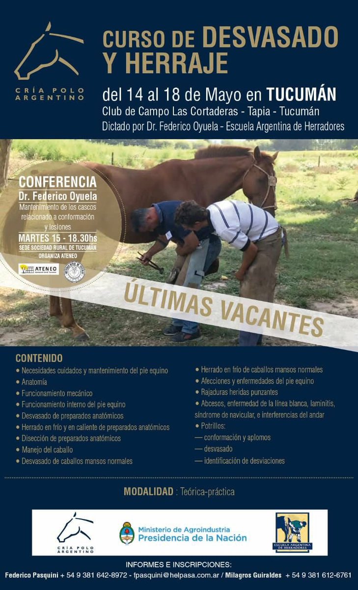 Polo Argentino tweet media