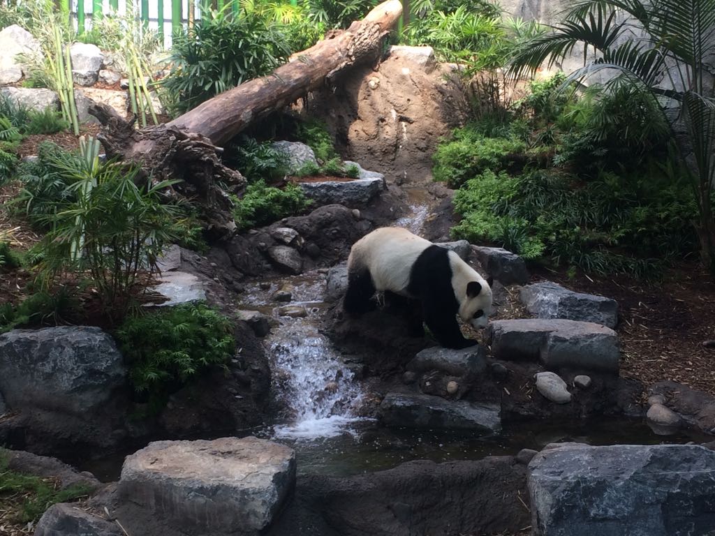 Jones_and_Jones's tweet image. #designforwildlife #designfornature @Jones_and_Jones