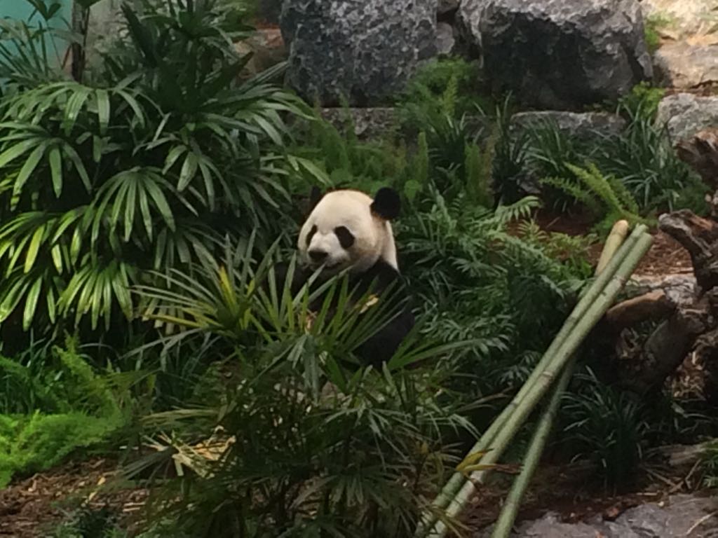 Jones_and_Jones's tweet image. #designforwildlife #designfornature @Jones_and_Jones